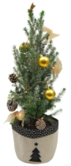 Weihnachtsbaum dekoriert 12.99&nbsp;&euro;
