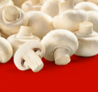 Weiße Champignons