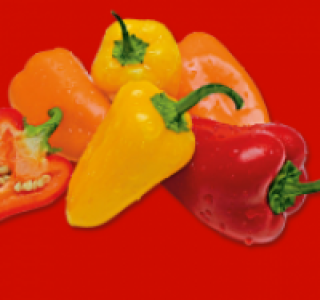 Paprika sweet