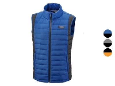 PARKSIDE® Herren Steppweste, mit Stehkragen