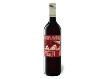 Terra Andina Velvety Merlot Chile Central Valley, Rotwein 2021