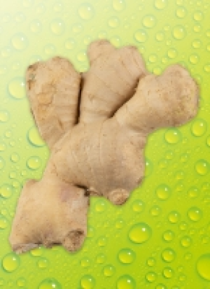 Bio-Ing&shy;wer 6.90&nbsp;&euro;