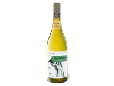 Lidl Pfaffl Weinkenner by Pfaffl Magdalena Sauvignon Blanc trocken, Weißwein 2021