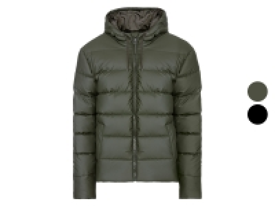 LIVERGY® Herren Steppjacke im Puffer-Design