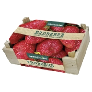GARDENLINE Anzuchtset mit Saatgut 3.49 €