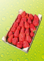 Norma River Valley Premium Pre­mi­um Erd­bee­ren