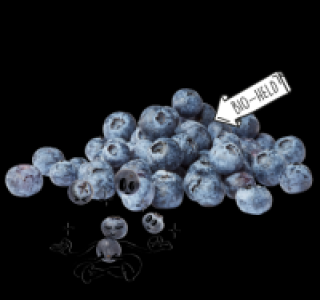 NATURGUT Bio-Heidelbeeren 1.29 €