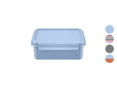 ERNESTO® Aufbewahrungsdosen, 1,27 l, mit 2 Einsätzen