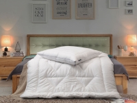 Lidl Dunlopillo Dunlopillo Premium Winter-Bettdecke »Life«, für Komfort und Hygiene
