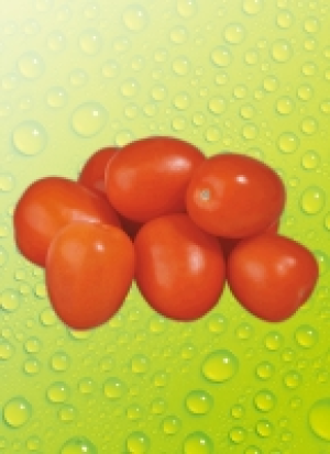 Ro&shy;ma&shy;to&shy;ma&shy;ten 1.59&nbsp;&euro;