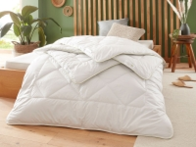 Badenia Trendline Eco Steppbett Kamelhaar Mono