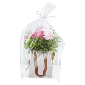 GARDENLINE Muttertags-Schnittblumen  7.99 €