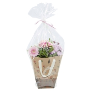 Aldi Süd  GARDENLINE Muttertags-Schnittblumen