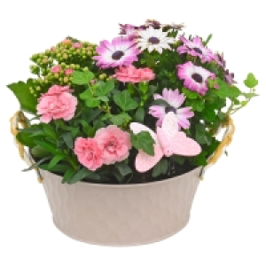GARDENLINE Muttertagsarrangement 9.99 €
