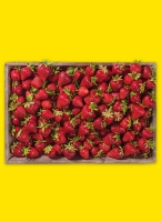Norma  Erd­bee­ren aus Ba­den-Würt­tem­berg