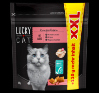 LUCKY CAT XXL Knusperkissen