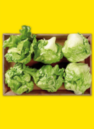 Fil­der­städ­ter Eis­berg­sa­lat 2.39 €