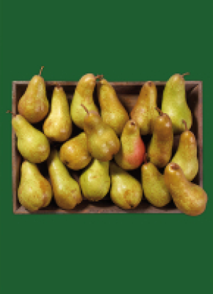 Säch­si­sche Bir­nen 2.29 €