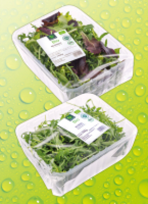 Bio-Sa­lat 1.29 €