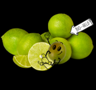 NATURGUT Bio-Limetten