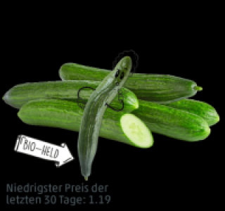 NATURGUT Bio-Gurke