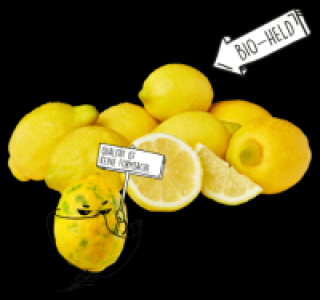 NATURGUT Bio Zitronen 1.11&nbsp;&euro;