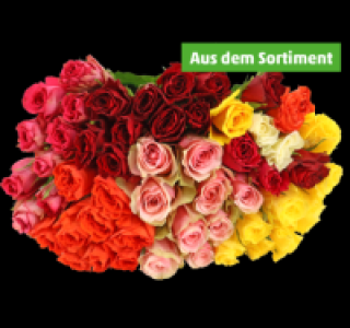 Penny  Wunderschöne Fairtrade-Rosen