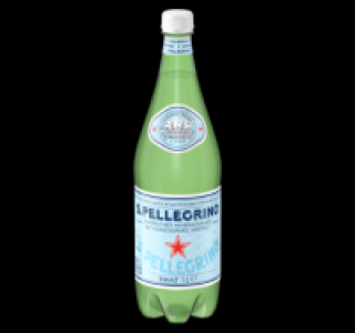 SAN PELLEGRINO oder ACQUA PANNA Mineralwasser 0.99 €