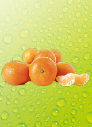 Cle­men­ti­nen 2.49 €