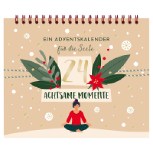Aldi Süd  Aufstell-Adventskalender