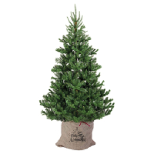 GARDENLINE Weihnachtsbaum