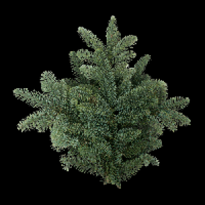 GARDENLINE Tannengrün 2.49 €