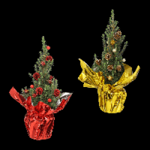 GARDENLINE Zuckerhutfichte 5.99 €