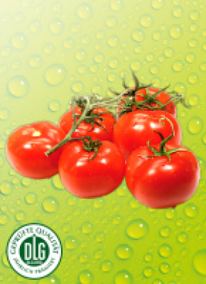 Ris­pen­to­ma­ten 1.79 €