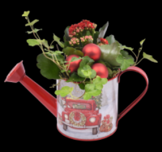 Weihnachtlich bepflanztes Zinkgefäß
