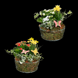 GARDENLINE Fr&uuml;hlingsschale 6.99&nbsp;&euro;