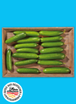 Baye­ri­sche Mi­ni Gur­ken 5.50 €
