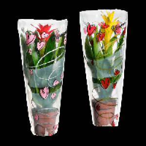 GARDENLINE Guzmanie / Vriesea 4.99 €