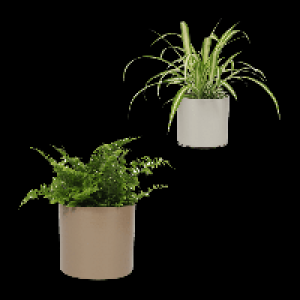 GARDENLINE Grüne Wohn-Oase 4.99 €
