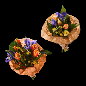 Aldi Nord Gardenline GARDENLINE Frühlingsstrauß