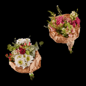 Aldi Nord Gardenline GARDENLINE Valentinsstrauß