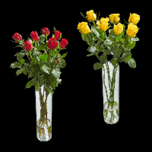 GARDENLINE Langstielige Rosen 5.55 €