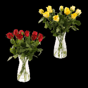 GARDENLINE Fairtrade-Rosen