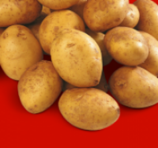 Speisefrühkartoffeln 1.69 €