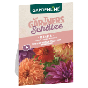 GARDENLINE Blumenzwiebeln Premium