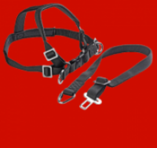 Hunde-Sicherheitsgurt