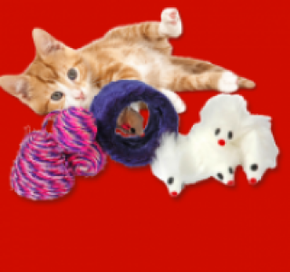 Spielzeug-Set f&uuml;r Katzen