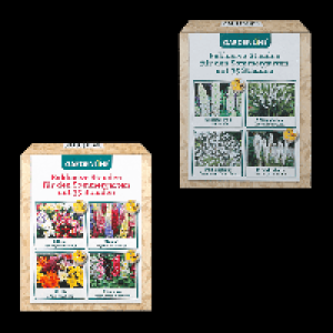GARDENLINE Stauden für den Sommergarten