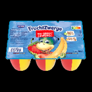 DANONE Fruchtzwerge Duo XXL
