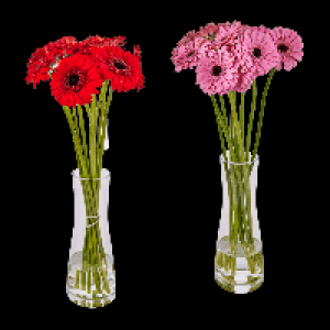 GARDENLINE Germini